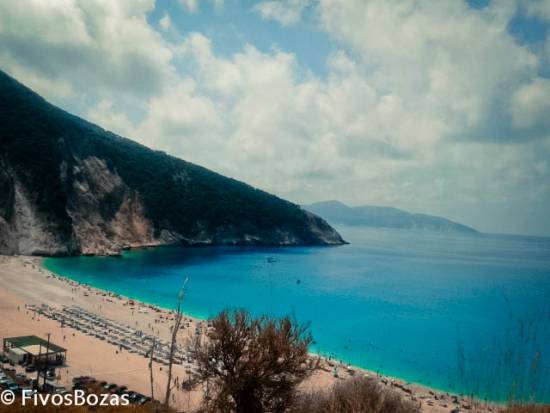 Μύρτος: Υπέροχος απ’ όποια πλευρά και αν τον δεις!