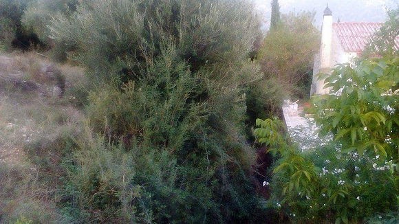 Την ανάγκη άμεσου καθαρισμού του ρέματος επισημαίνουν οι κάτοικοι των Πουλάτων