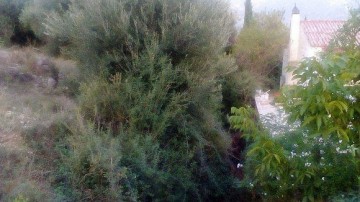 Την ανάγκη άμεσου καθαρισμού του ρέματος επισημαίνουν οι κάτοικοι των Πουλάτων