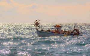 Περιφερειακή Ενότητα Κεφαλονιάς -Ιθάκης: Υποβολή στοιχείων μηνιαίας παραγωγής αλιευτικών σκαφών