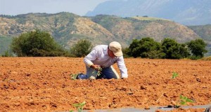 Ε.Α.Σ.: Eυκαιρία για ντόπιους Αγρότες με δική τους πρώτη ύλη
