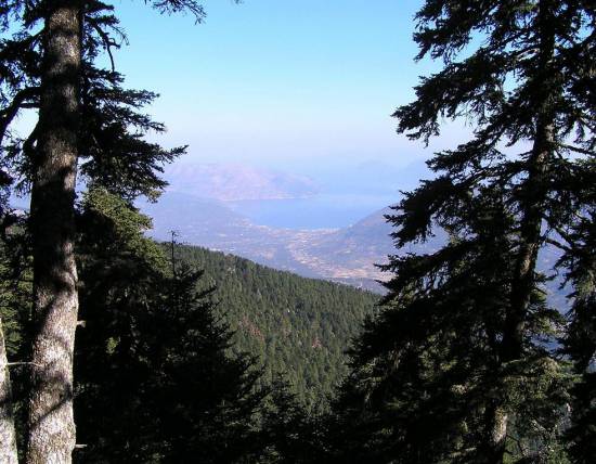 Ευχές για καλή χρονιά απο το ΙΚΙ