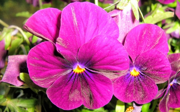 Το Γηροκομείο Αργοστολίου ευχαριστεί...