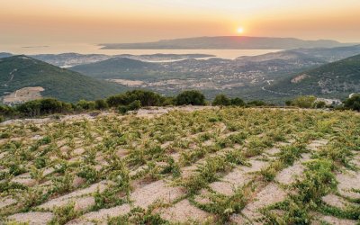 "Από την καλλιέργεια στην εγκατάλειψη της Ρομπόλας"