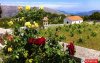 Εορτασμός της Κοιμήσεως της Αγίας Άννης στην Ιερά Μονή Θεμάτων