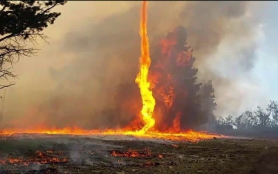 Συμβαίνει Τώρα: Φωτιά στα Φαρακλάτα