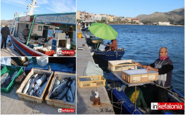 Αργοστόλι: Με ολόφρεσκη ψαριά ξεκίνησε το 2021! (εικόνες)