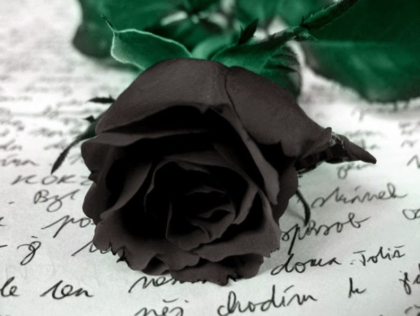 Η Χορωδία & Μαντολινάτα Αργοστολίου, αποχαιρετά το μέλος της Σταύρο Μεσσάρη