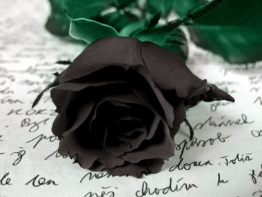 Η Χορωδία & Μαντολινάτα Αργοστολίου, αποχαιρετά το μέλος της Σταύρο Μεσσάρη