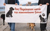 1ος Περίπατος κατά της κακοποίησης ζώων: Ηχηρό μήνυμα ευαισθητοποίησης και δράσης