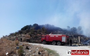 Φωτιά σε είσοδο οικοπέδου στη θέση Λαγκάδα Παλικής (εικόνες)