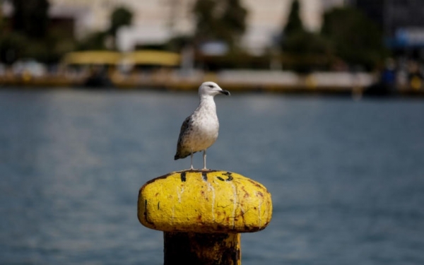 Έληξε η απεργία της ΠΝΟ - Λύνουν τους κάβους τα πλοία