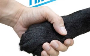 Διαμαρτυρία του "Κόμματος για τα ζώα" για περιστατικό στο ΚΤΕΛ Κεφαλονιάς