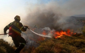 Πέντε εστίες φωτιάς σε Θηνιά και Λαγκάδα! (Ανανεωμένο)