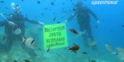 Οι τρεις μέρες της Greenpeace στην Κεφαλονιά σε ένα βίντεο!