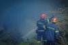 Κεφαλονιά: Συνελήφθησαν δύο άνδρες για πρόκληση πυρκαγιάς