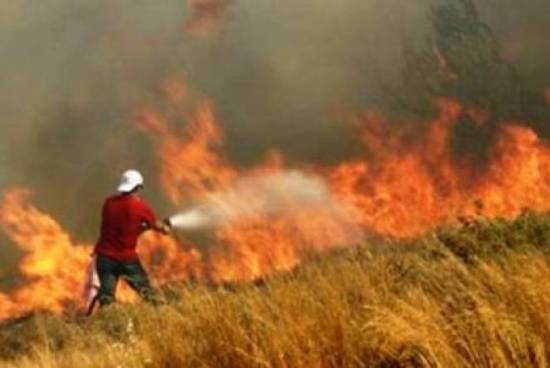 Συμμετοχή σε ομάδες φύλαξης περιοχών ευαίσθητων για φωτιά