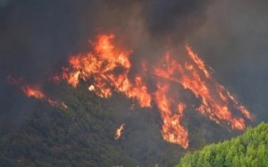 Περιφέρεια Ιονίων Νήσων: Συγκέντρωση ειδών πρώτης ανάγκης για τους πυρόπληκτους της Ηλείας