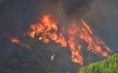 Περιφέρεια Ιονίων Νήσων: Συγκέντρωση ειδών πρώτης ανάγκης για τους πυρόπληκτους της Ηλείας