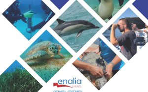 Εσπερίδα για το θαλάσσιο περιβάλλον της Κεφαλονιάς το Σάββατο 10/6 στο Αργοστόλι