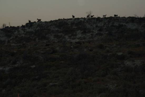 Εσπερινός στο εξωκλήσι της Παναγίας Λογοθέτη στο Καπανδρίτι