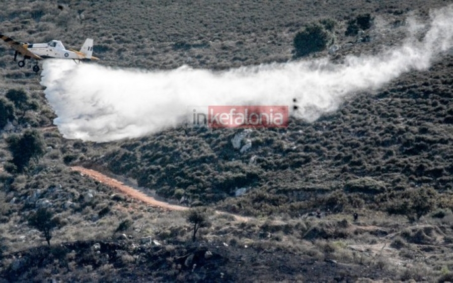 Κατεσβέσθη η πυρκαγιά στις Πλατιές Στράτες στην Παλική (εικόνες)