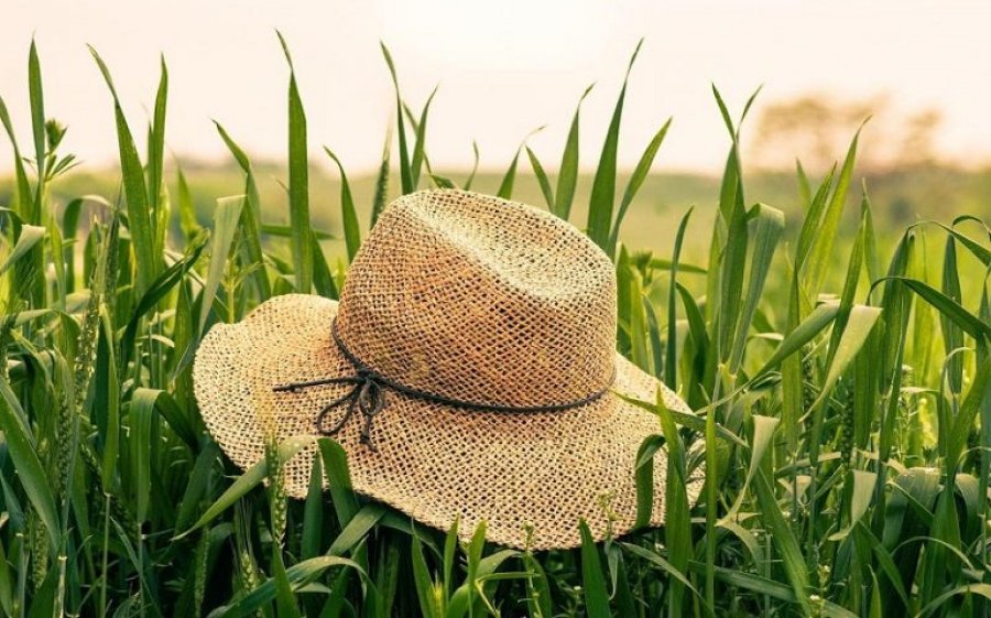 Εύα Φιλιππάτου: Ψηφίζουν Mercosur, μιλούν για στήριξη πρωτογενούς τομέα: Η ΝΔ σε πλήρη υποκρισία