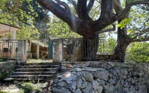Μενεγάτου Διονυσία: Μουζακάτα Κεφαλονιάς, ένας άγνωστος, ιστορικός τόπος του νησιού μας