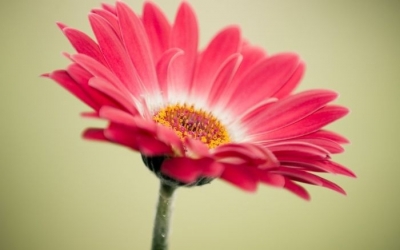 Η Ομοσπονδία Τουριστικών Καταλυμάτων Κεφαλονιάς & Ιθάκης ευχαριστεί...