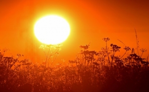 Ο πλανήτης βιώνει τη θερμότερη περίοδο των τελευταίων 2.000 ετών