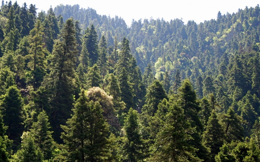 Παράταση απαγόρευσης κυκλοφορίας οχημάτων και εκδρομέων στον Αίνο