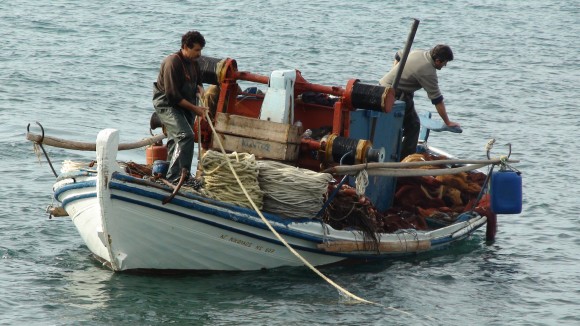 Το τμήμα Αλιείας Περιφερειακής Ενότητας Κεφαλονιάς ενημερώνει...