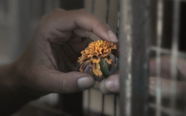 Το ΚΚΕ καλεί στην προβολή της ταινίας “Το τελευταίο σημείωμα” του Παντελή Βούλγαρη