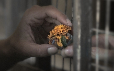 Το ΚΚΕ καλεί στην προβολή της ταινίας “Το τελευταίο σημείωμα” του Παντελή Βούλγαρη