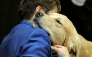 Το Κόμμα για τα Ζώα Ιονίων Νήσων για την Παγκόσμια Ημέρα για τα αδέσποτα