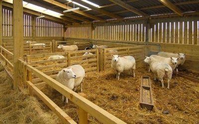 Έκδοση Αδειών Διατήρησης Κτηνοτροφικών Εγκαταστάσεων