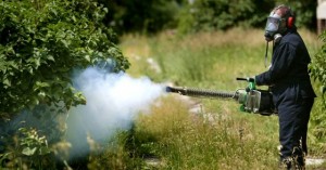 Αναβάλλεται ο προγραμματισμένος ψεκασμός καταπολέμησης κουνουπιών