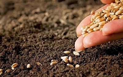 Απόψε η εκδήλωση "Οι Σπόροι ως κοινωνικά αγαθά", από το Δήμο Σάμης και το δίκτυο Αιγίλοπας