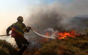 Κατεσβέσθη πυρκαγιά στις Μηνιές - Με ελαφρά εγκάυματα στο Νοσοκομείο πολίτης που προσπάθησε να σβήσει την φωτιά