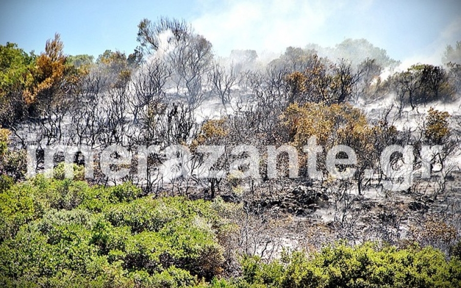 Στάχτη 3.000 στρέματα δασικής έκτασης στη Ζάκυνθο (εικόνες)