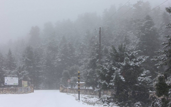 Χειμώνας και... χιόνια στον Αίνο!