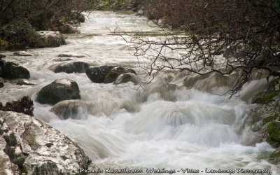 Βόλτα στους νερόμυλους & τα γεφύρια της Σάμης- Υπέροχες εικόνες