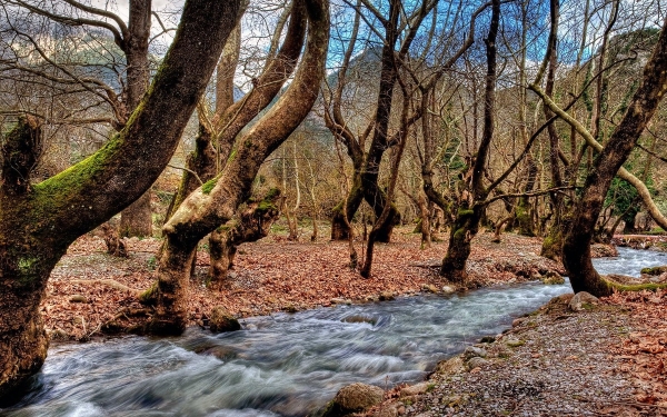 Ημερήσια εκδρομή στα Καλάβρυτα με τον Σύλλογο τριτέκνων