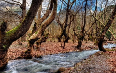 Ημερήσια εκδρομή στα Καλάβρυτα με τον Σύλλογο τριτέκνων