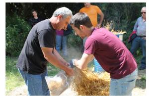 Στον Βοτανικό Κήπο Κεφαλονιάς, ο Γιώργος Κουτρώτσιος συσκευάζει το άχυρο – υπόστρωμα για την καλλιέργεια μανιταριών