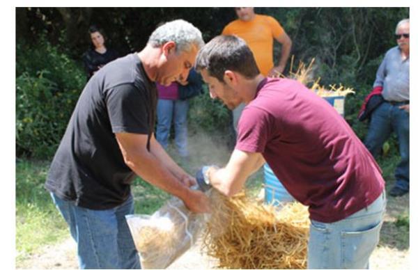 Στον Βοτανικό Κήπο Κεφαλονιάς, ο Γιώργος Κουτρώτσιος συσκευάζει το άχυρο – υπόστρωμα για την καλλιέργεια μανιταριών
