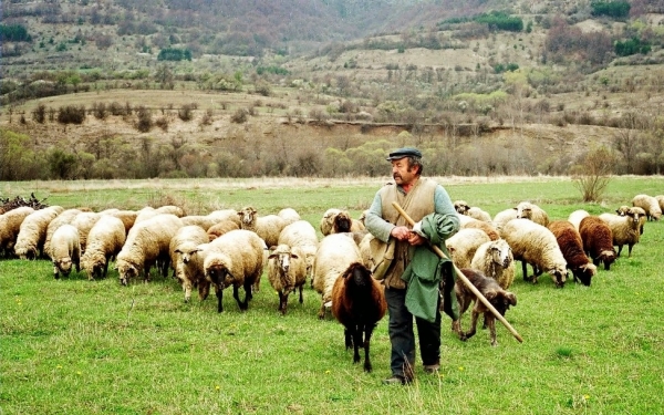 Συλλογή αιτήσεων ΟΣΔΕ σε Πόρο