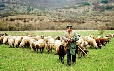 Συλλογή αιτήσεων ΟΣΔΕ σε Πόρο