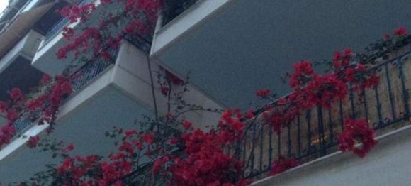Μπουκαμβίλια viral: Απλώνεται σε 8 μπαλκόνια! [εικόνα]