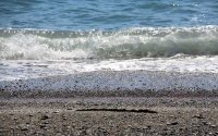 Αυστριακή τουρίστρια πνίγηκε στη θάλασσα στο Καλαμάκι Ζακύνθου